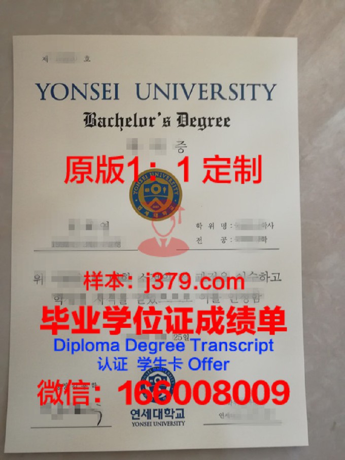 延世大学中文mba毕业证(延世大学中文授课硕士)