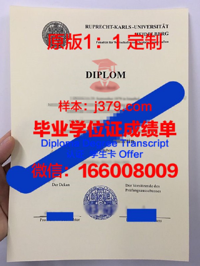 海德堡大学毕业证是什么模样(海德堡大学毕业证书)