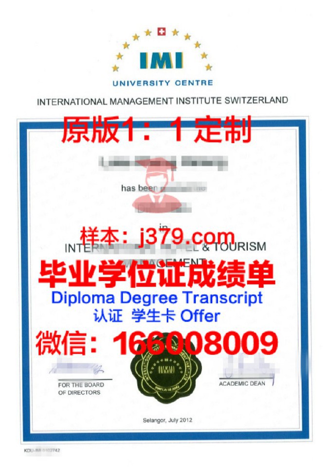 多特蒙德国际管理学院毕业证翻译(多特蒙德管理学院学费)